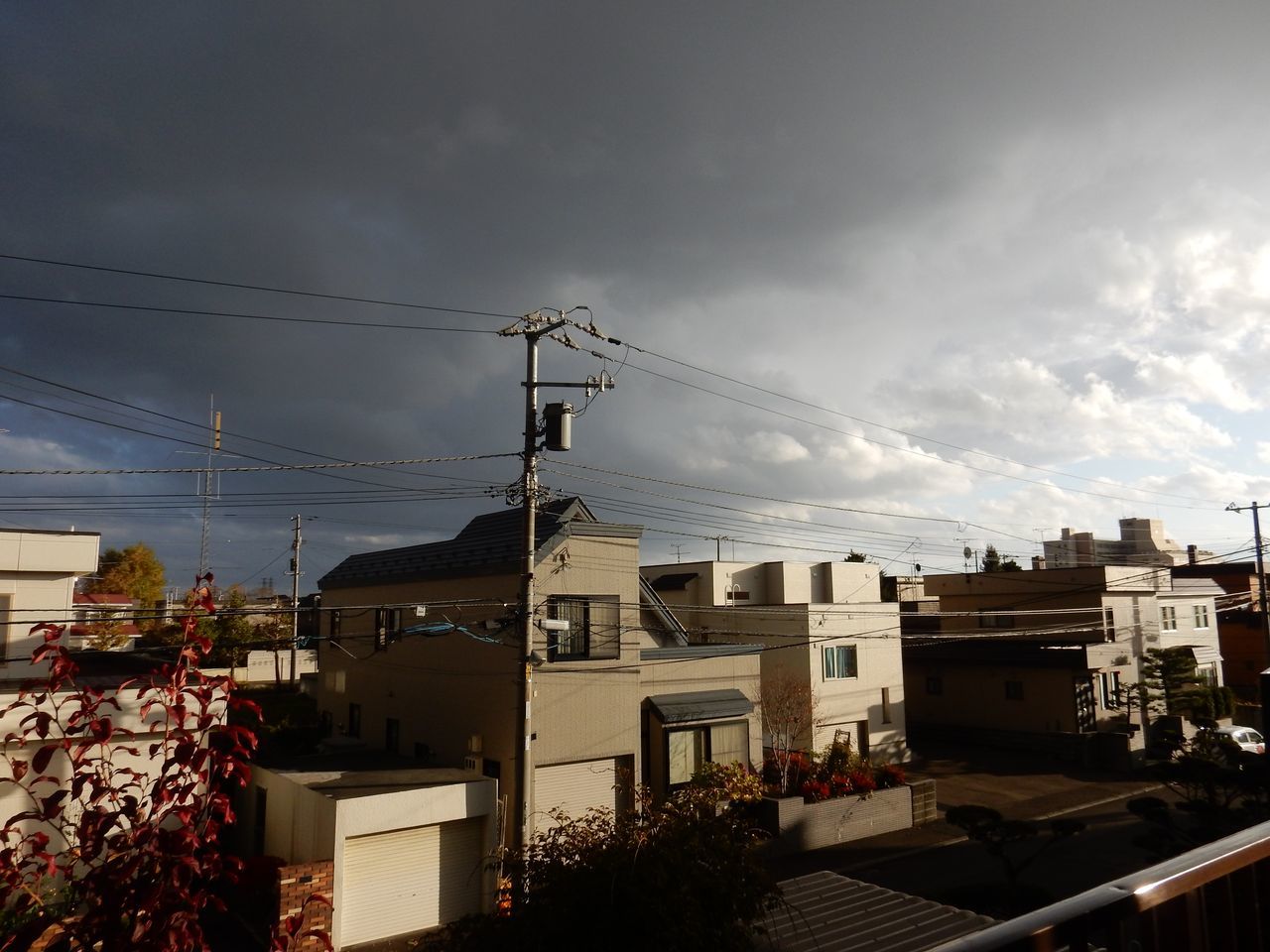 12月が出てきた!_c0025115_22464755.jpg