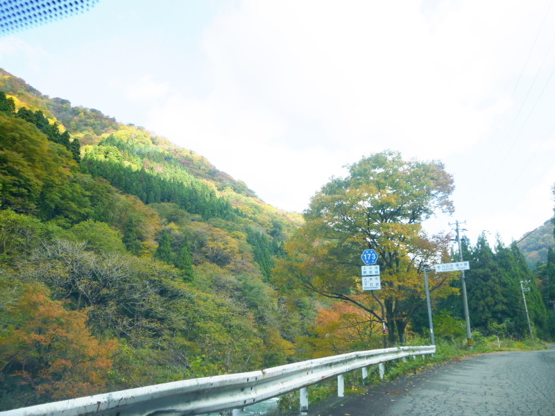 d0170615_07310161.jpg