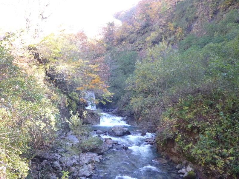 d0170615_07341797.jpg