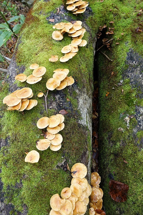 f0360815_17363033.jpg