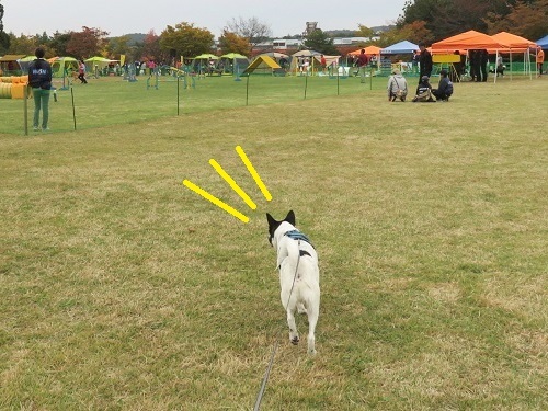 c0084117_20534204.jpg