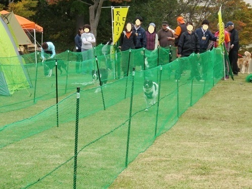c0084117_20591160.jpg