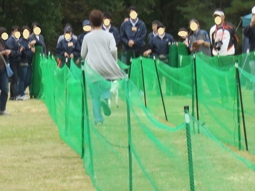 c0084117_21064794.jpg