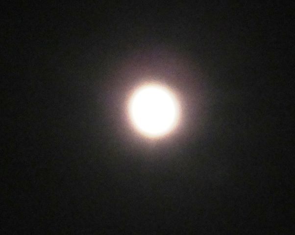 a0166324_22404852.jpg