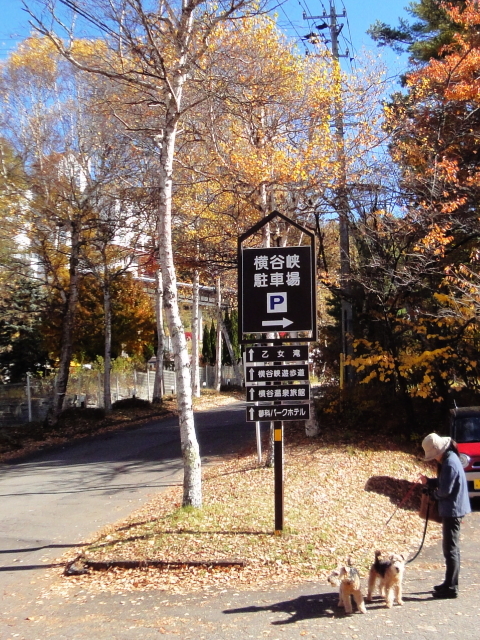 c0242627_12353255.jpg