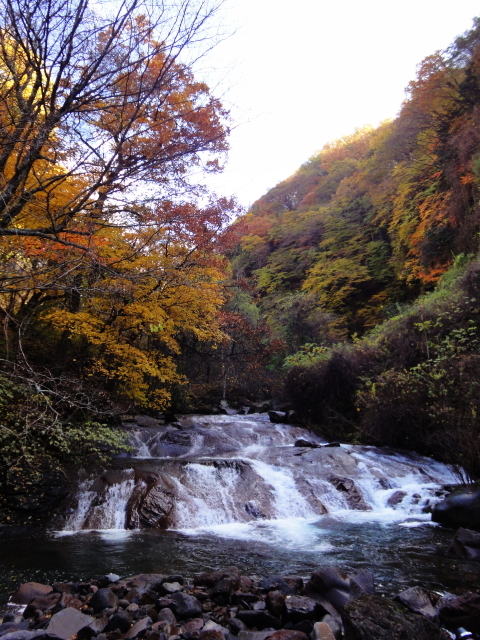 c0242627_12363443.jpg