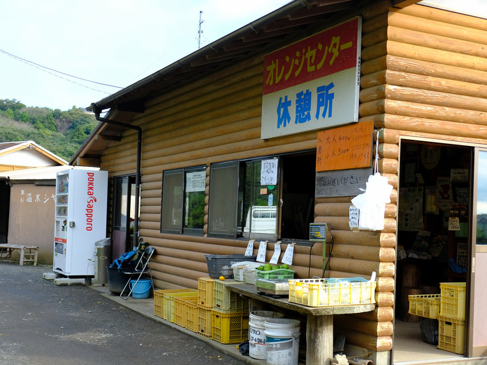 「南房総オレンジ村でレモン、館山でいちじく収穫体験!」_a0000029_2135344.jpg