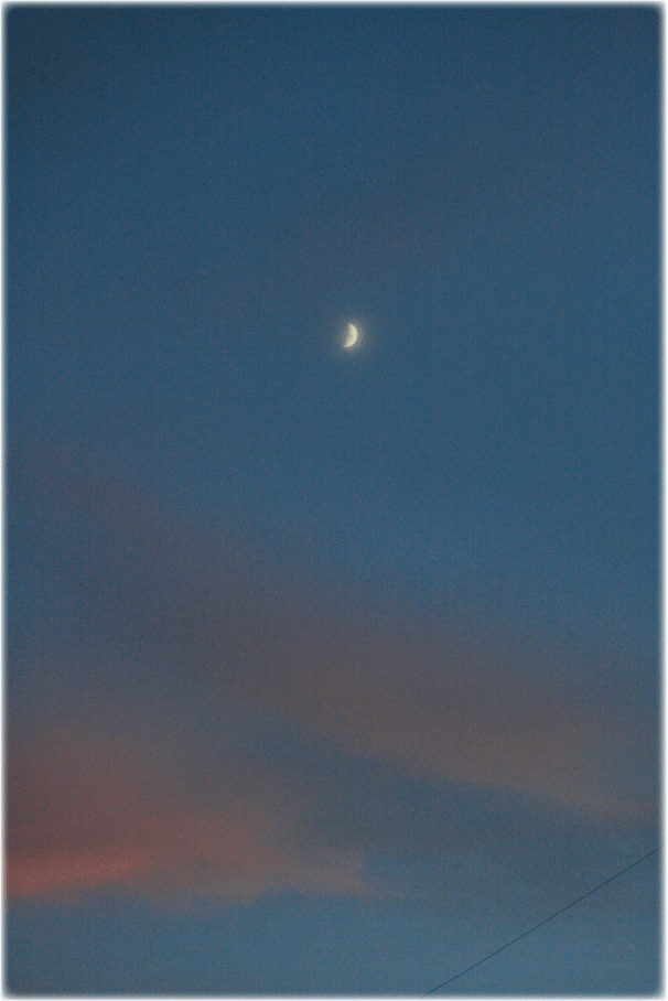 c0107829_06591903.gif