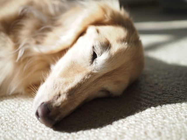 c0117831_17392719.jpg