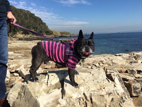b0113232_15061621.jpeg