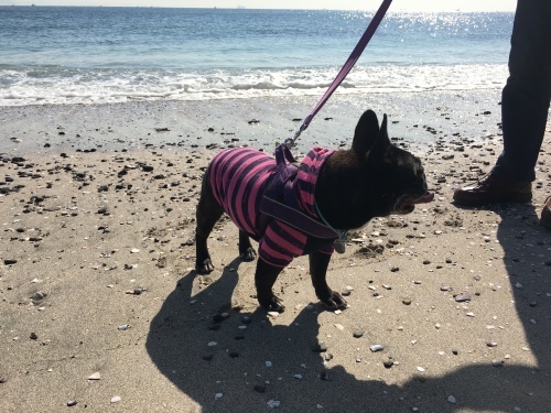 b0113232_15064746.jpeg