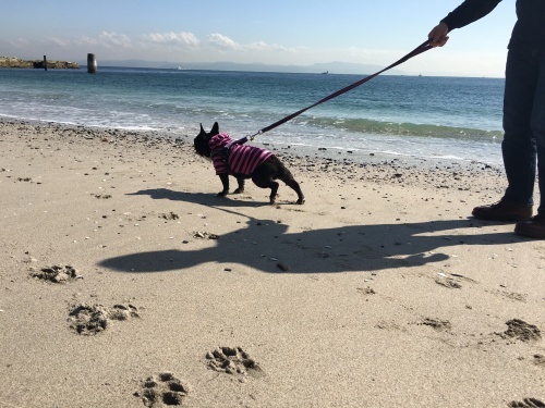 b0113232_15071232.jpeg