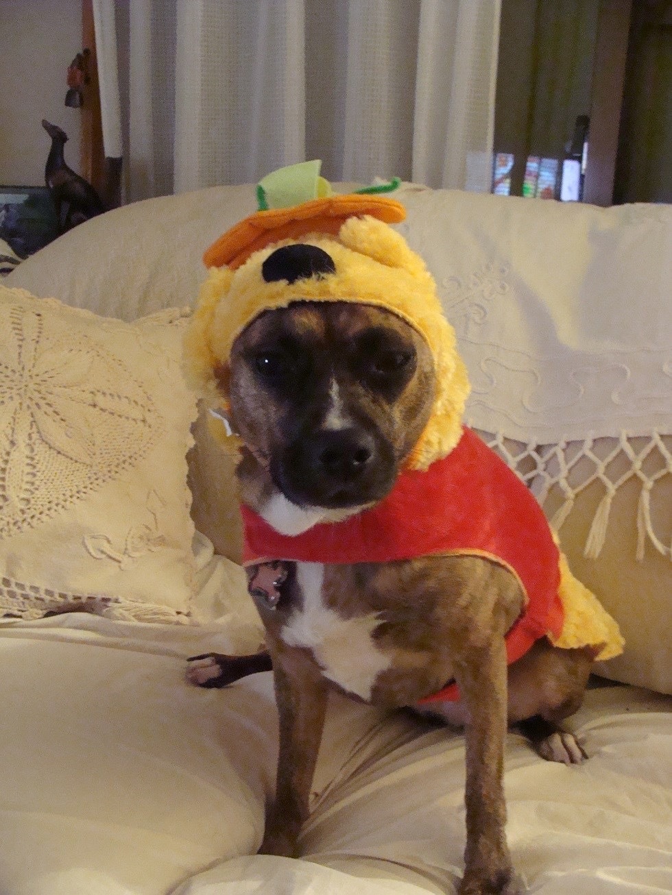 d0269832_08283277.jpeg