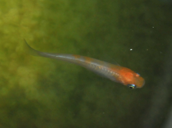e0097534_16291750.jpg