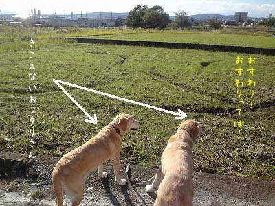 お達者クラブはそんなもん＆今日の富士山_a0167836_16283970.jpg