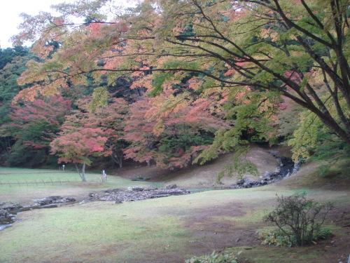 世界遺産 平泉 #8_b0207642_19005587.jpg