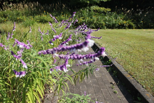 d0362242_18514299.jpg