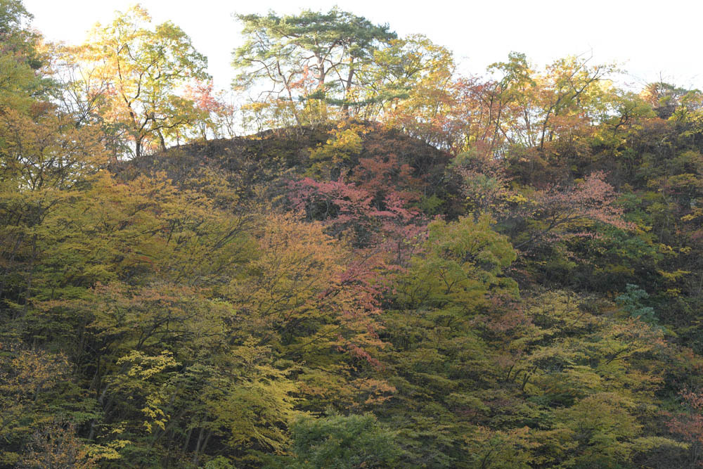 a0324049_20121648.jpg