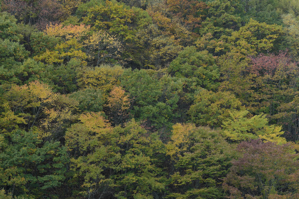 a0324049_20125277.jpg