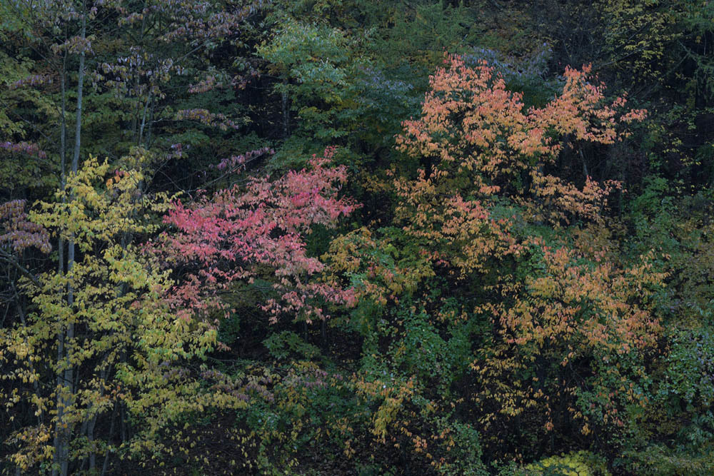 a0324049_20132682.jpg