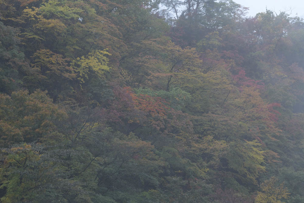 a0324049_20134335.jpg