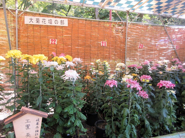 【菊人形・菊花展開催中の岐阜公園を散策する】_b0009849_10122698.jpg