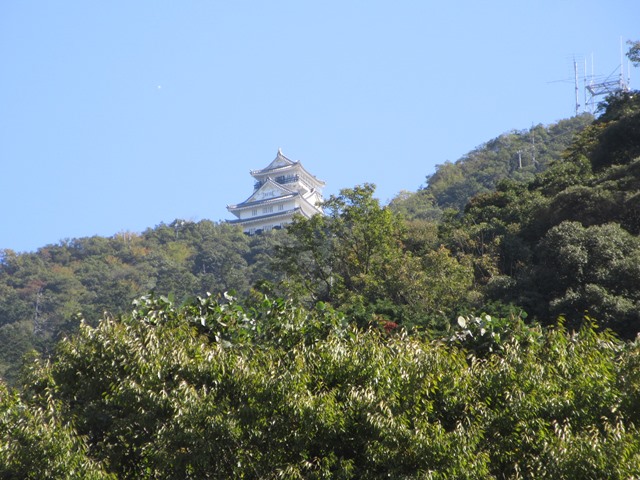 【菊人形・菊花展開催中の岐阜公園を散策する】_b0009849_10254834.jpg