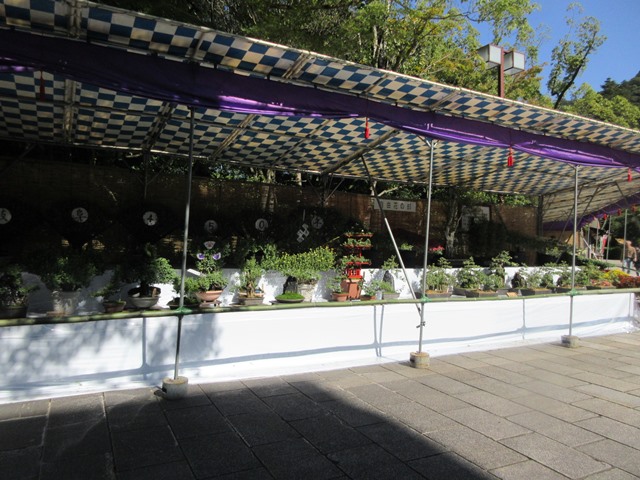 【菊人形・菊花展開催中の岐阜公園を散策する】_b0009849_10301241.jpg