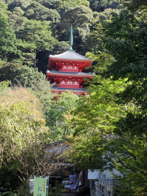 【菊人形・菊花展開催中の岐阜公園を散策する】_b0009849_10303726.jpg