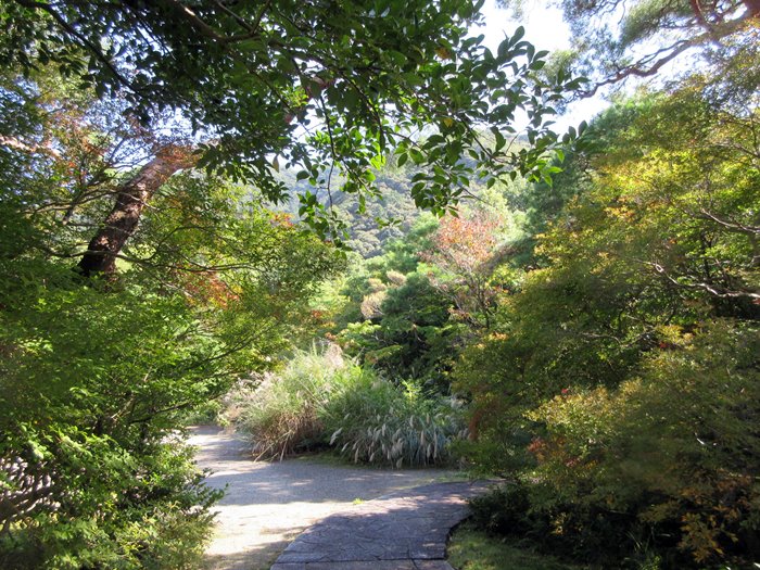 【萬松館】平日限定旬彩御膳を料亭でいただく_b0009849_1517236.jpg
