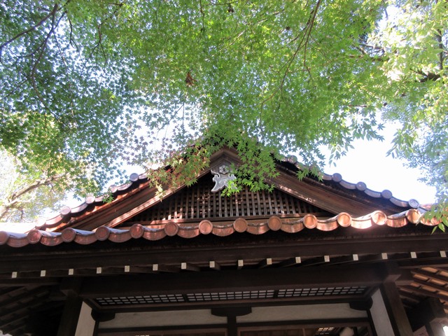 【萬松館】平日限定旬彩御膳を料亭でいただく_b0009849_15183698.jpg