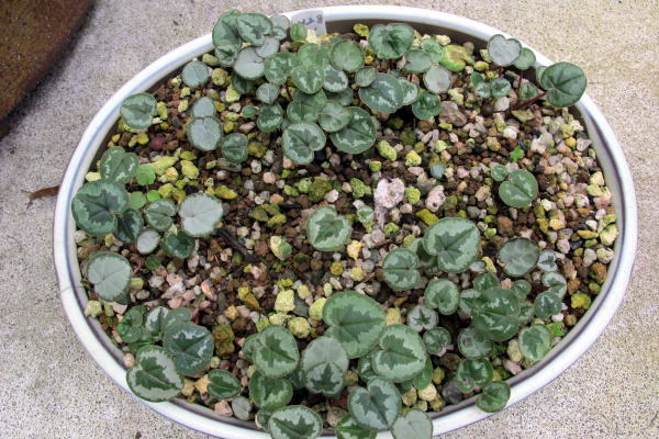 c0147952_23011563.jpg