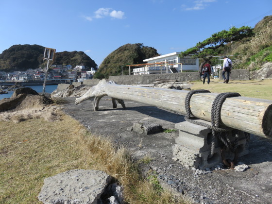 仁右衛門島　ホテル南海荘_c0367054_20501558.jpg