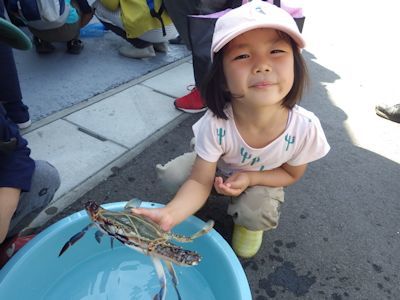 七ヶ浜町菖蒲田浜地区海岸林植樹と海岸遊びの旅_c0355655_16123255.jpg