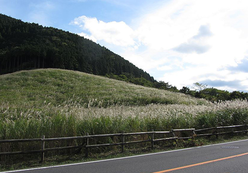 e0129656_17121409.jpg