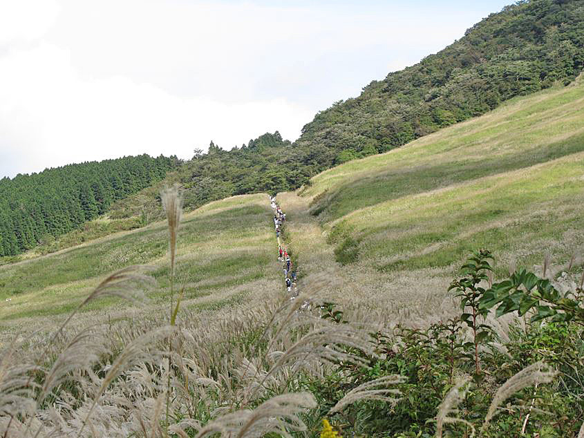 e0129656_17124097.jpg