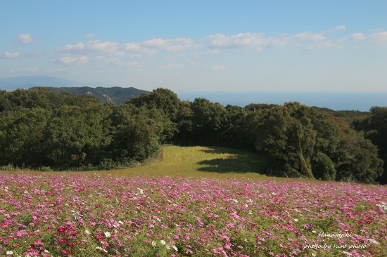 b0328557_20332955.jpg