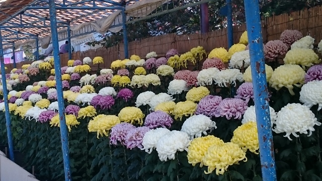 c0328559_21170029.jpg