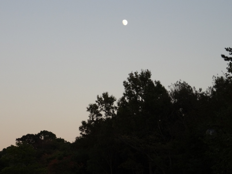 c0108460_18254590.jpg