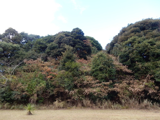 ’17,11,1(水)玉ねぎ植えの準備!_f0060461_09360205.jpg