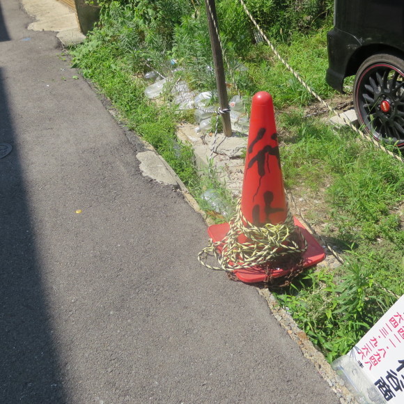 ナイス市場は飛んでいく、淡く 尼崎市にて_c0001670_20401036.jpg