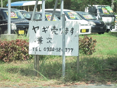 b0141773_20580110.jpg
