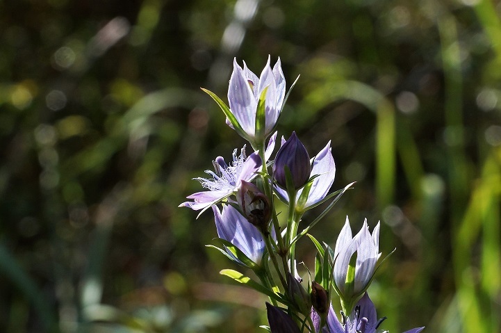 c0248473_17163190.jpg