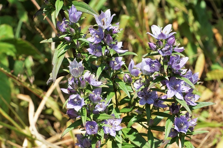 c0248473_17171137.jpg