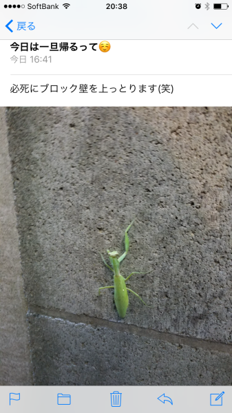 d0370681_21293314.png