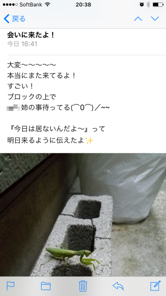 d0370681_21295042.png