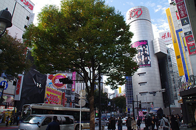 b0056983_15190846.jpg