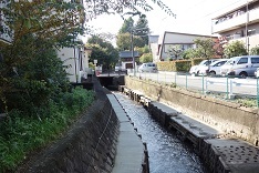 d0183387_14514279.jpg