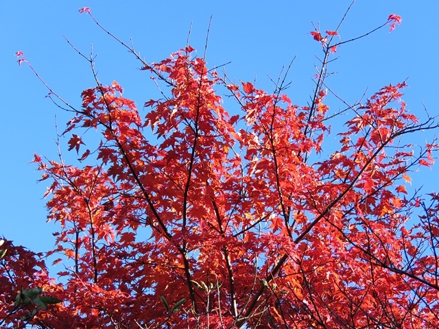 f0357487_21580510.jpg