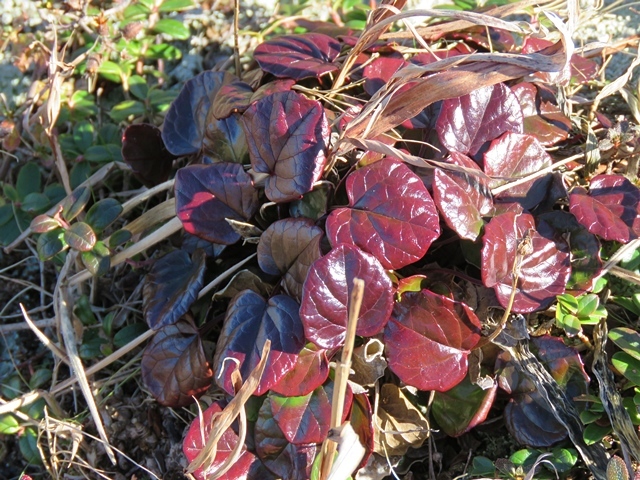 f0357487_22333535.jpg